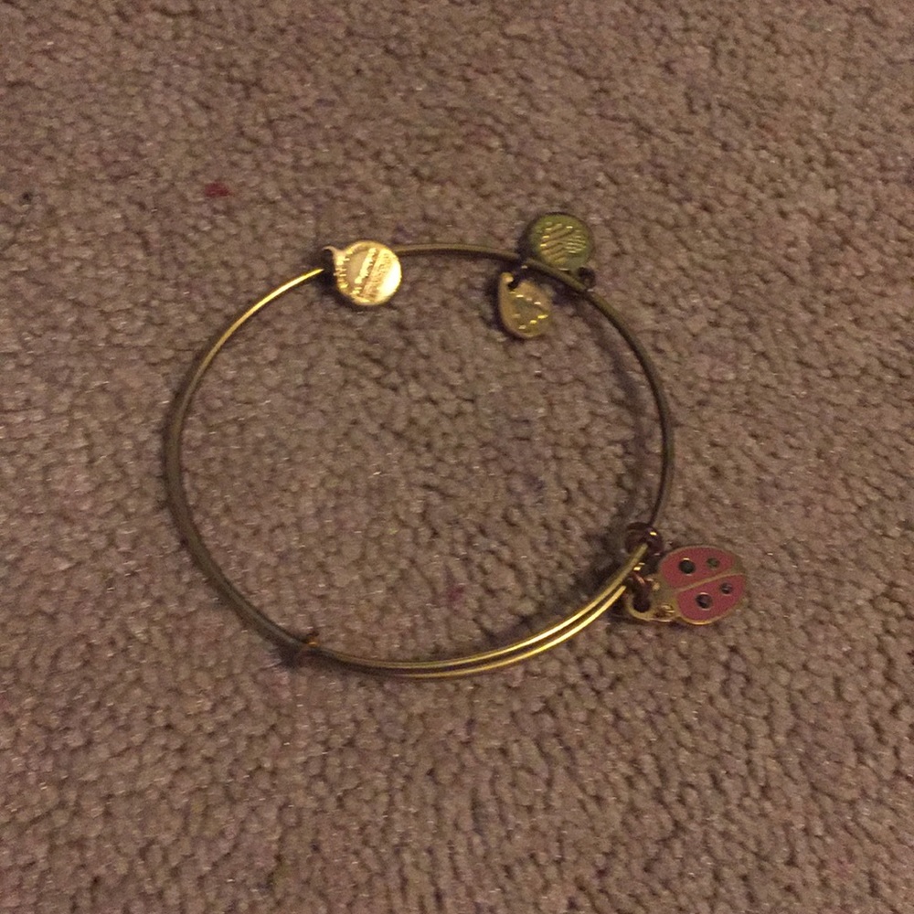 Alex and Ani ladybug bracelet